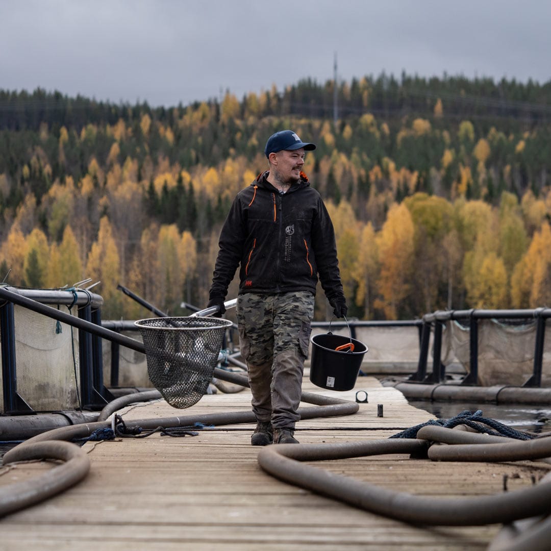 benella_kalankasvatus_vaaraniemi_kasvattajasivu_01