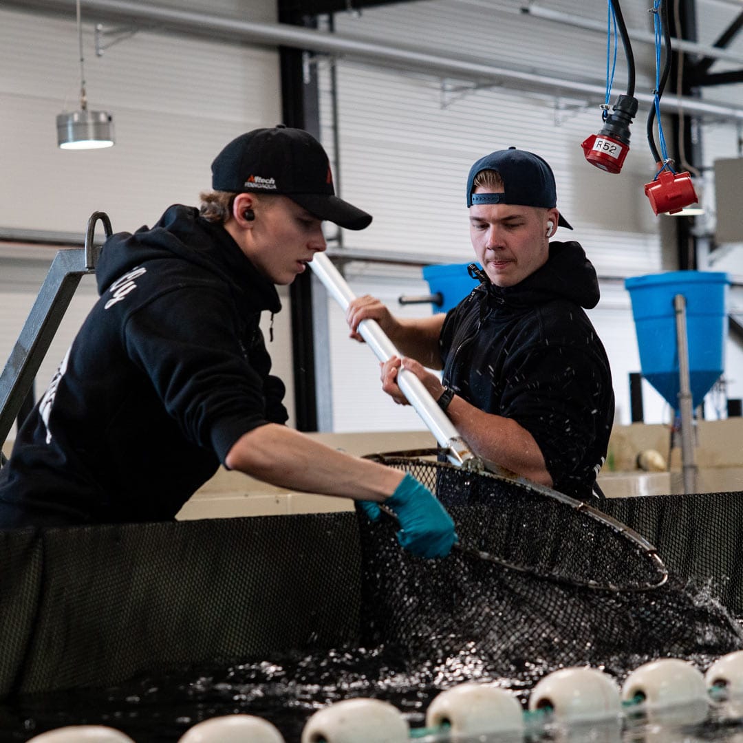 benella_kainuun_lohi_kasvattajasivu_04